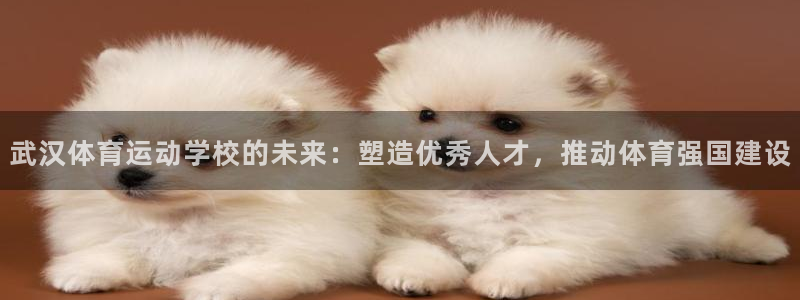 球派体育怎么下载：武汉体育运动学校的未来：塑造优秀人才，推动体育强国建设