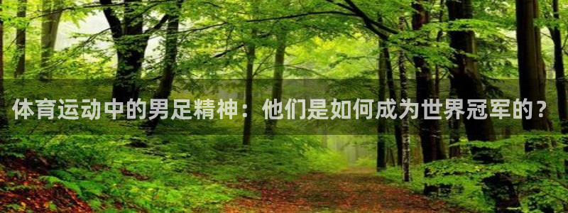 球派体育app下载官网最新版本安卓手机：体育运动中的男足精神：他们是如何成为世界冠军的？