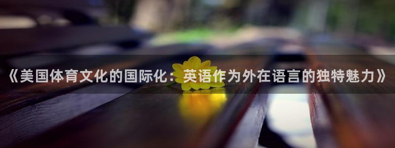 球派体育最新版：《美国体育文化的国际化：英语作为外在语言的独特魅力》