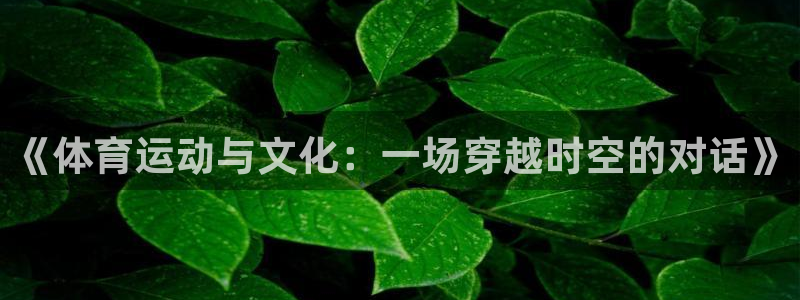 球派体育有风险吗：《体育运动与文化：一场穿越时空的对话》