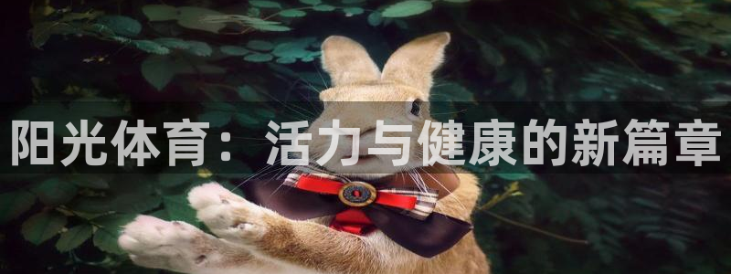 球派体育在线直播：阳光体育：活力与健康的新篇章