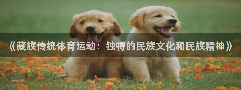球派体育官方网站：《藏族传统体育运动：独特的民族文化和民族精神》