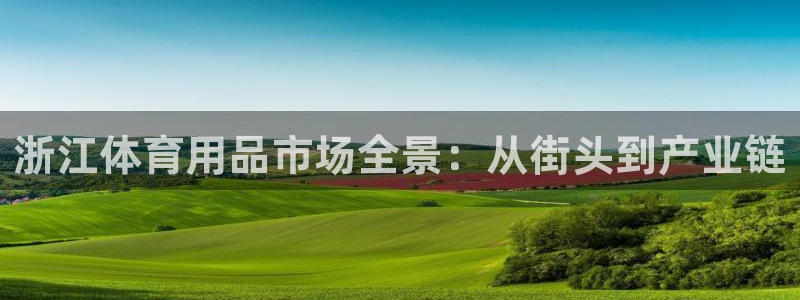 下载球派体育：浙江体育用品市场全景：从街头到产业链