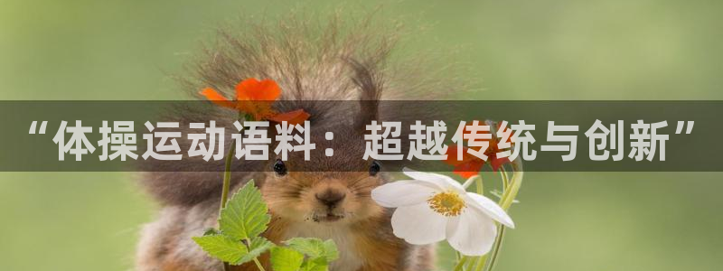 球派体育公司：“体操运动语料：超越传统与创新”