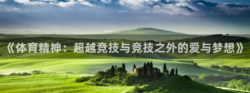 球派体育手机版app：《体育精神：超越竞技与竞技之外的爱与梦想》