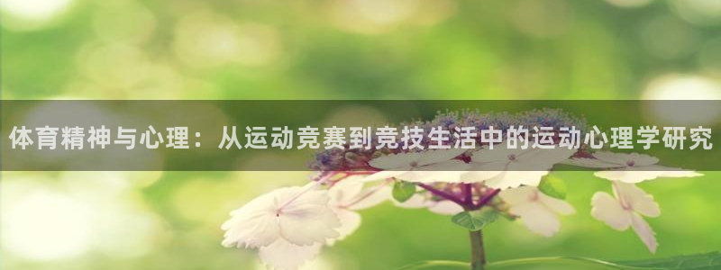 球派体育怎么下载：体育精神与心理：从运动竞赛到竞技生活中的运动心理学研究