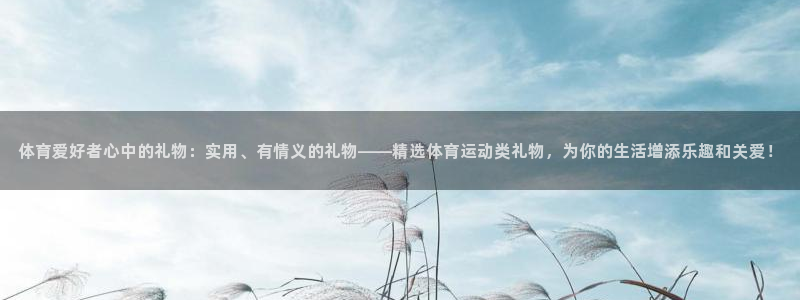 球派体育：体育爱好者心中的礼物：实用、有情义的礼物——精选体育运动类礼物，为你的生活增添乐趣和关爱！