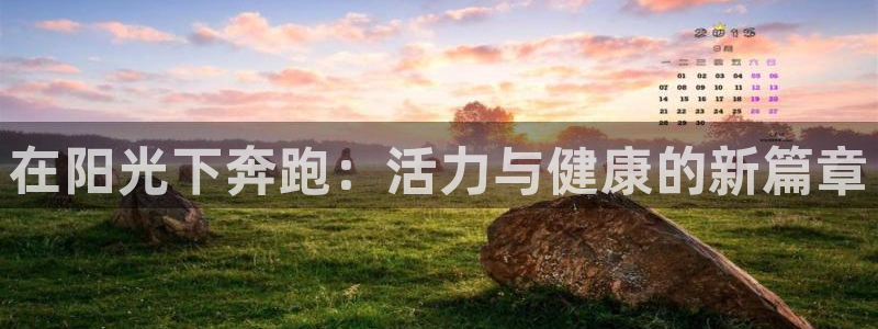 球派体育在线直播：在阳光下奔跑：活力与健康的新篇章